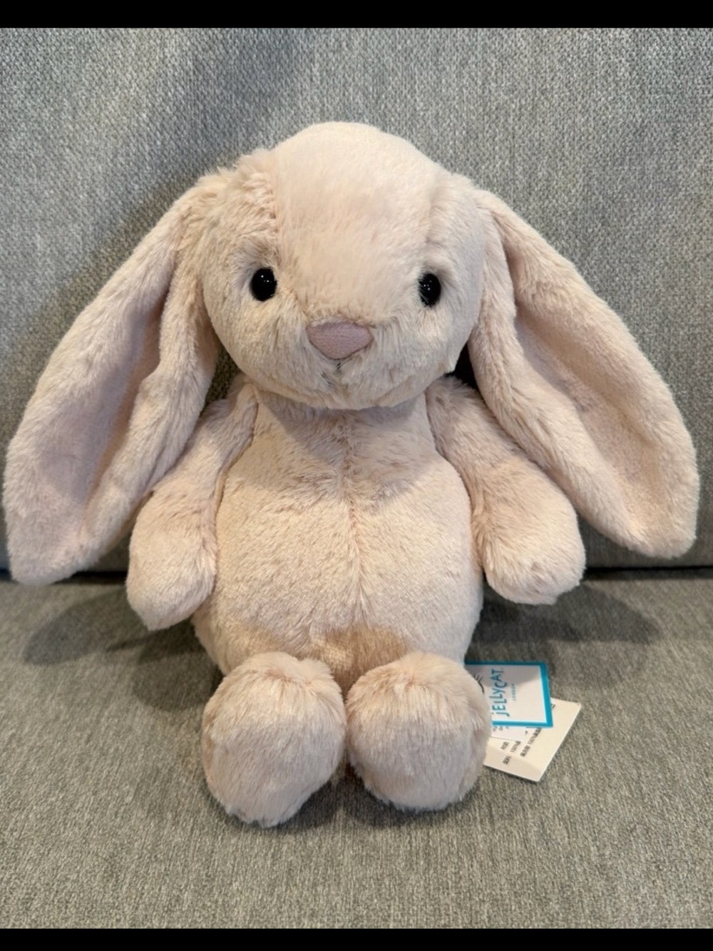 AUTHENTIC NWT Jellycat Bashful Bunny Junior- Limited Release!- FAST SHIP